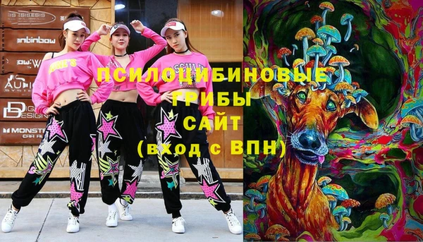 mdma Горнозаводск