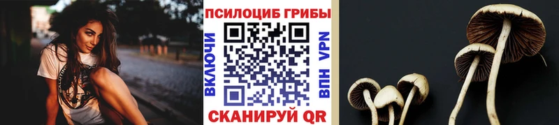 Галлюциногенные грибы Magic Shrooms  Дмитровск 